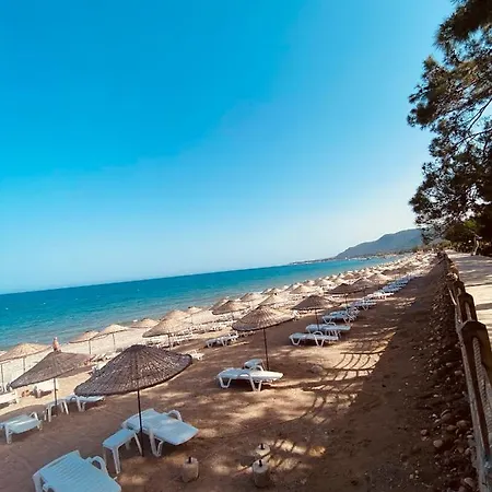 펜션 Terrace *